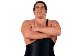 Andre The Giant