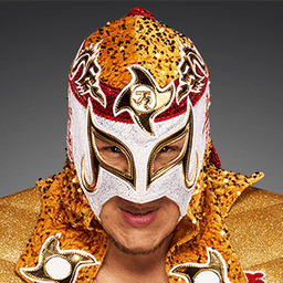 Octagon Jr