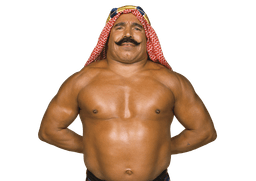The Iron Sheik