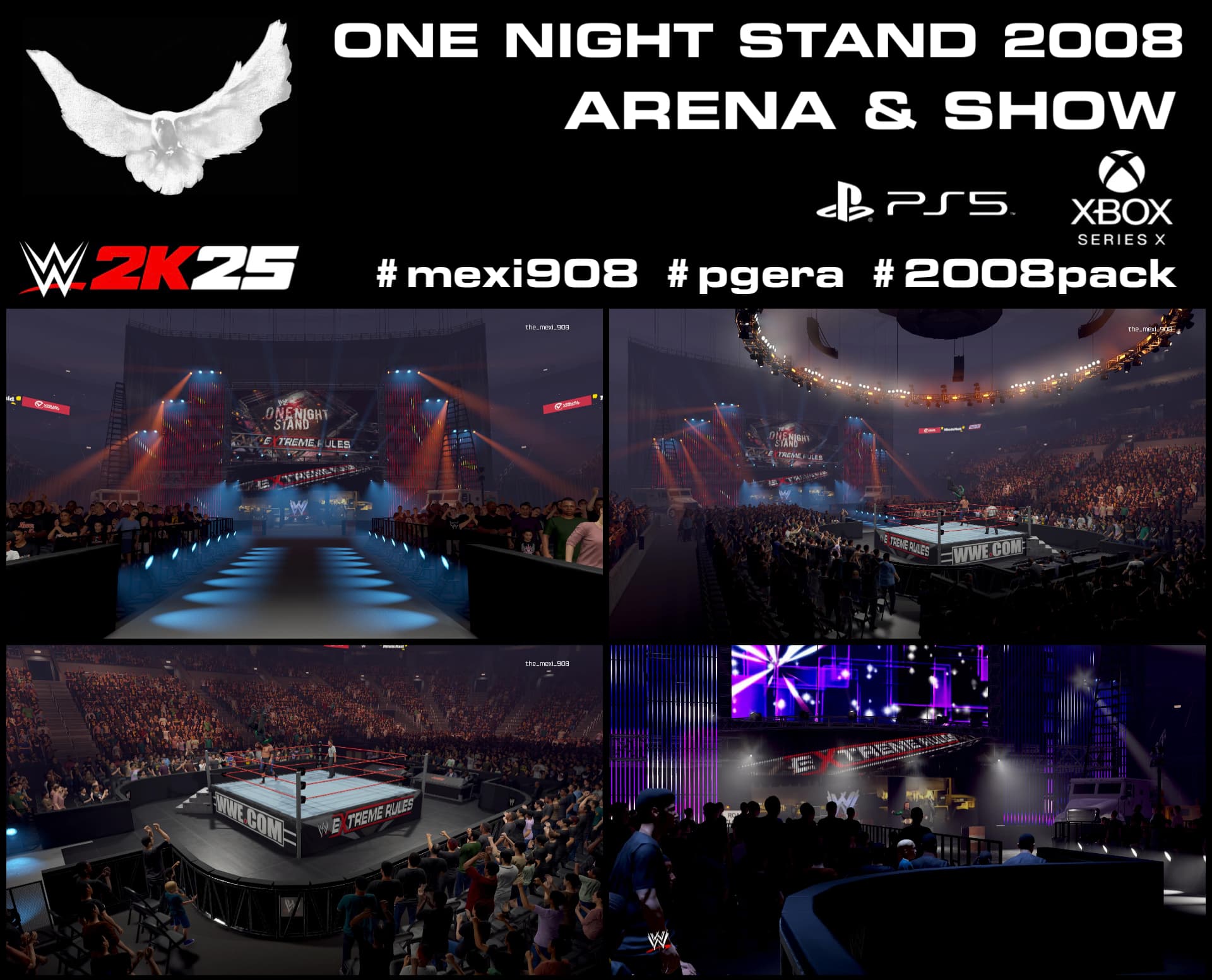 One Night Stand 2008